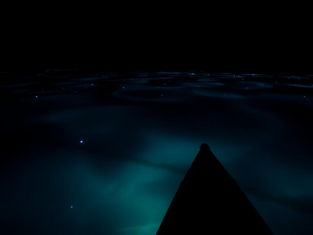 Bioluminescent Bay